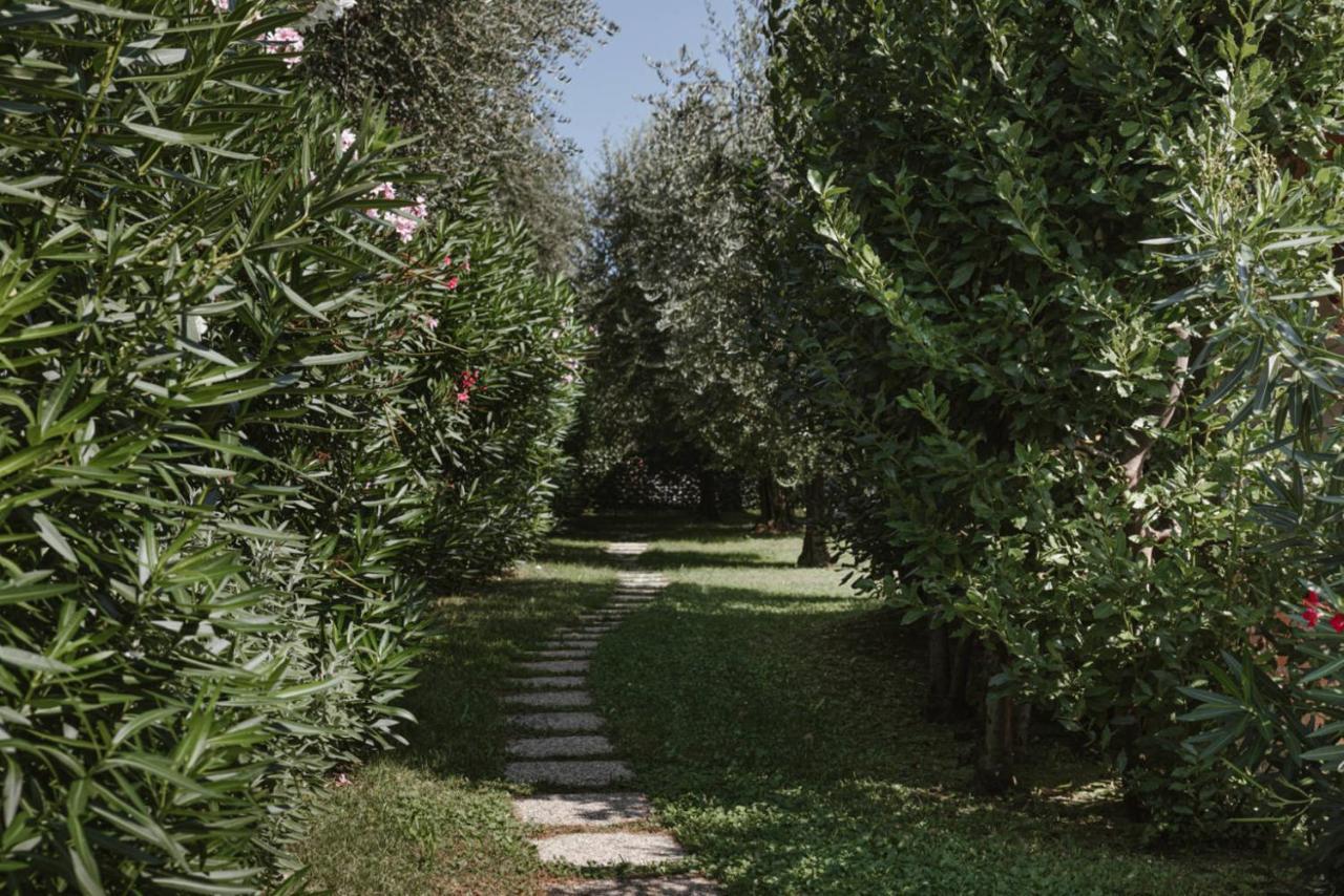 Minerva Holiday Home Manerba del Garda Exteriör bild
